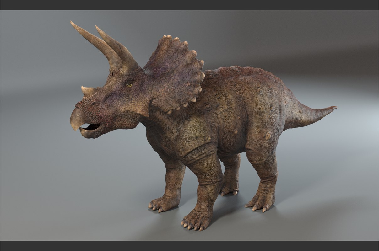 Triceratops model - TurboSquid 1272860