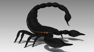 3D black scorpion model
