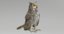 3D great horned owl animations model