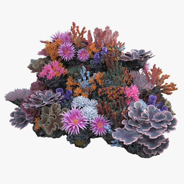 3D model coralreef n 02