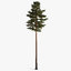 pine forest pack 3D