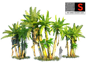 real palm hd 3D model