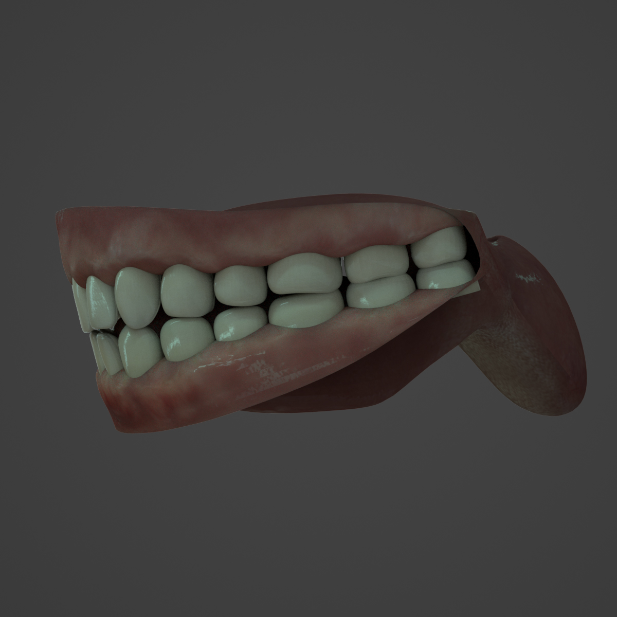 Free 3D realistic human teeth model - TurboSquid 1274662