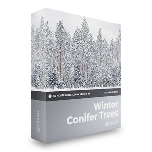 3D winter conifer trees volume