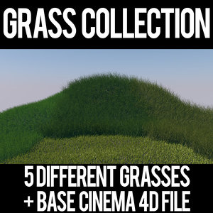 grasses 3D model