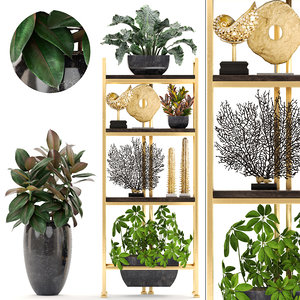 shelf decor tropical plants 3D model