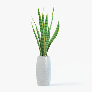snake plant pot 3D model