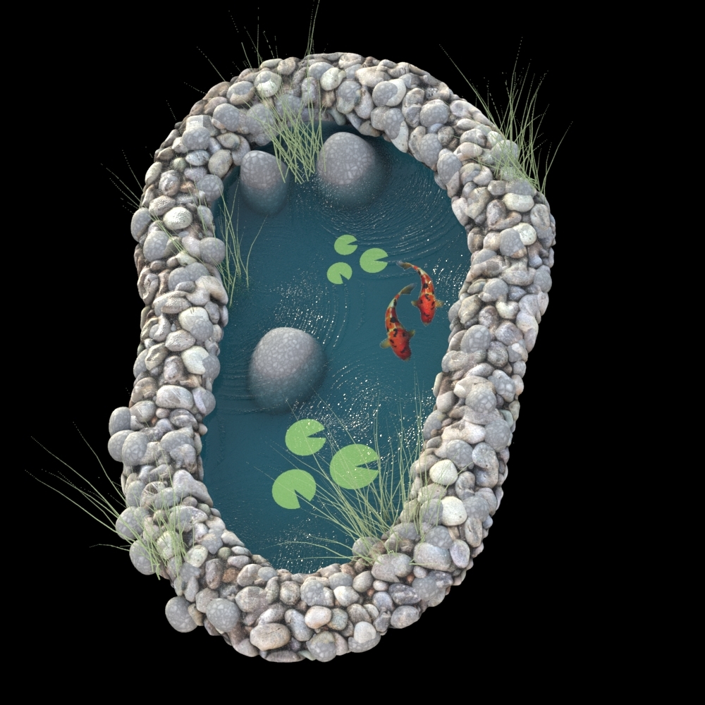 水上花园腼腆的池塘3d模型