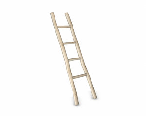 wood ladder 3D