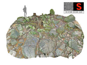 jungle rock ground 16k 3D model