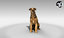 scanned dogs - model