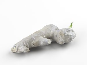 photorealistic scanned ginger 3D model