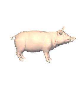 pig 3D model