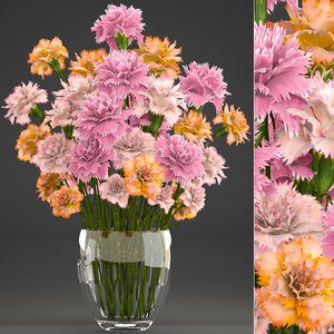 3D bouquet flowers dianthus carnations model