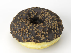 scanned donut 3D