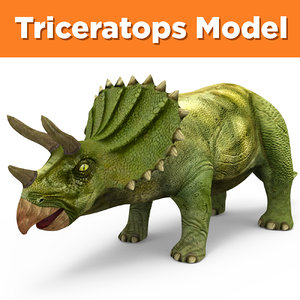 3D triceratops ready