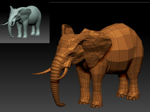 elephant 3D