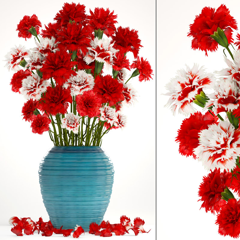 3d Bouquet Flowers Red Carnation Model Turbosquid