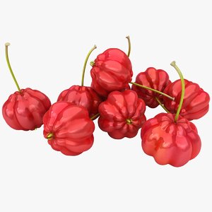 3D surinam cherries color 3 model
