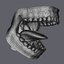 3D human mouth teeth model