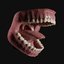 3D human mouth teeth model