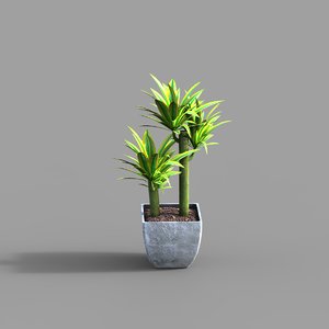 plant potted 3D