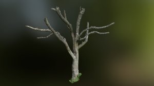 3D model games tree