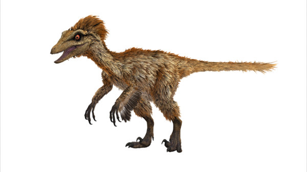 telltale troodon