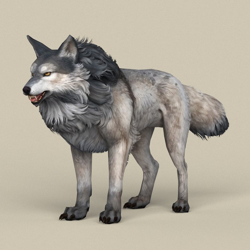 Ready wolf 3D - TurboSquid 1278701