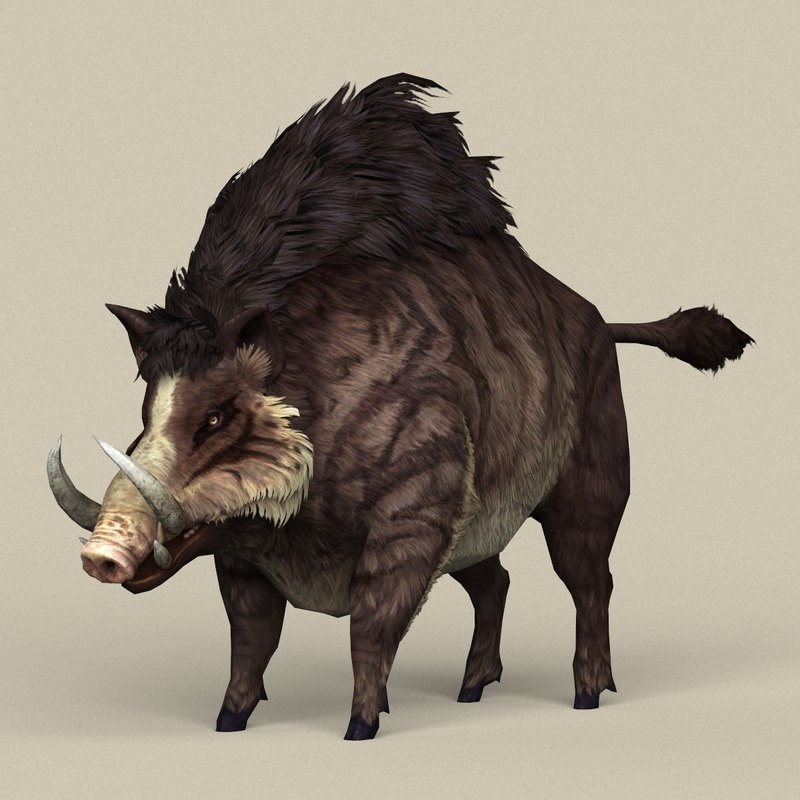 3D ready fantasy boar - TurboSquid 1278739