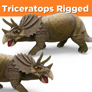triceratops rigged 3D model