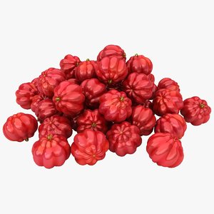 3D surinam cherries pile color