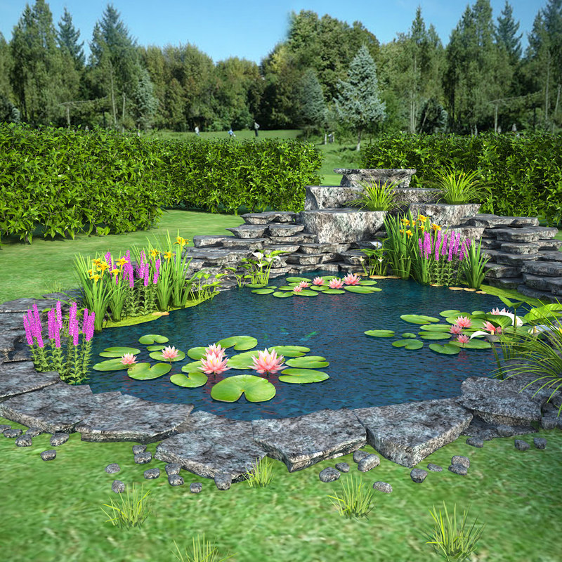 3d Pond Design Software