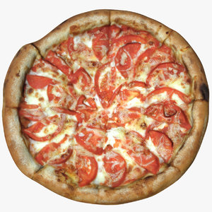 pizza 1 model
