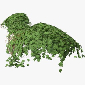 ivy pbr branches 3D model