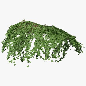 3D ivy pbr branches