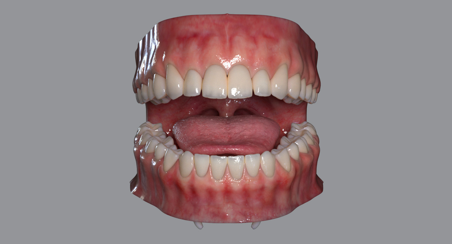 D Realistic Mouth Rigged Turbosquid