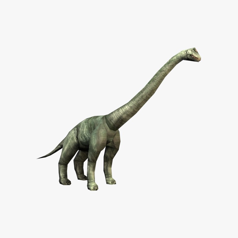 brachiosaurus 3d