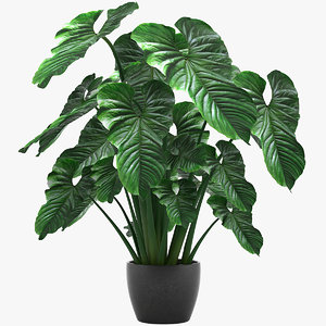 tropical leaves 3D model