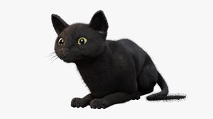 rigged cat black animations 3D model