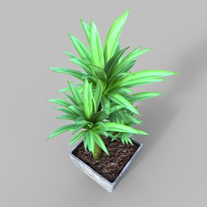 potted plant 3 3D