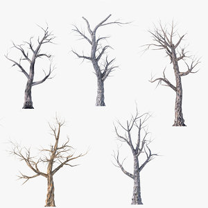 pack dead tree 3D model