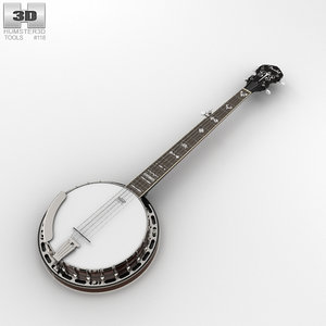 3D banjo fender instrument