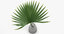 palm decoration vase 3D model