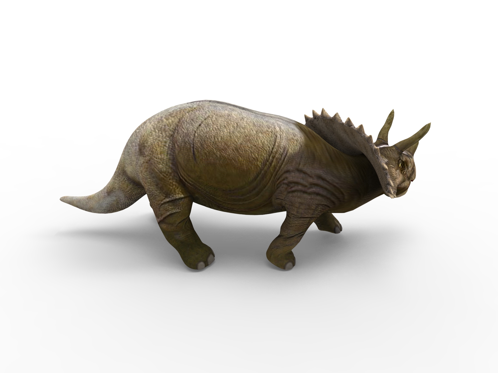 逼真的三角龙索具和动画3d模型