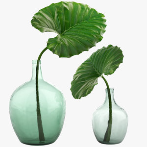 3D plant decoration model