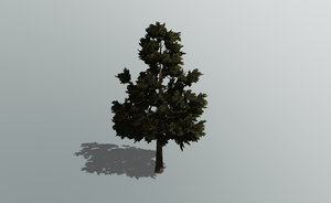 3D pine tree