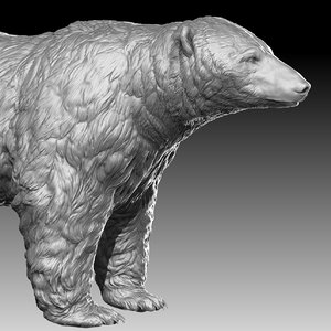 polar bear realistic model