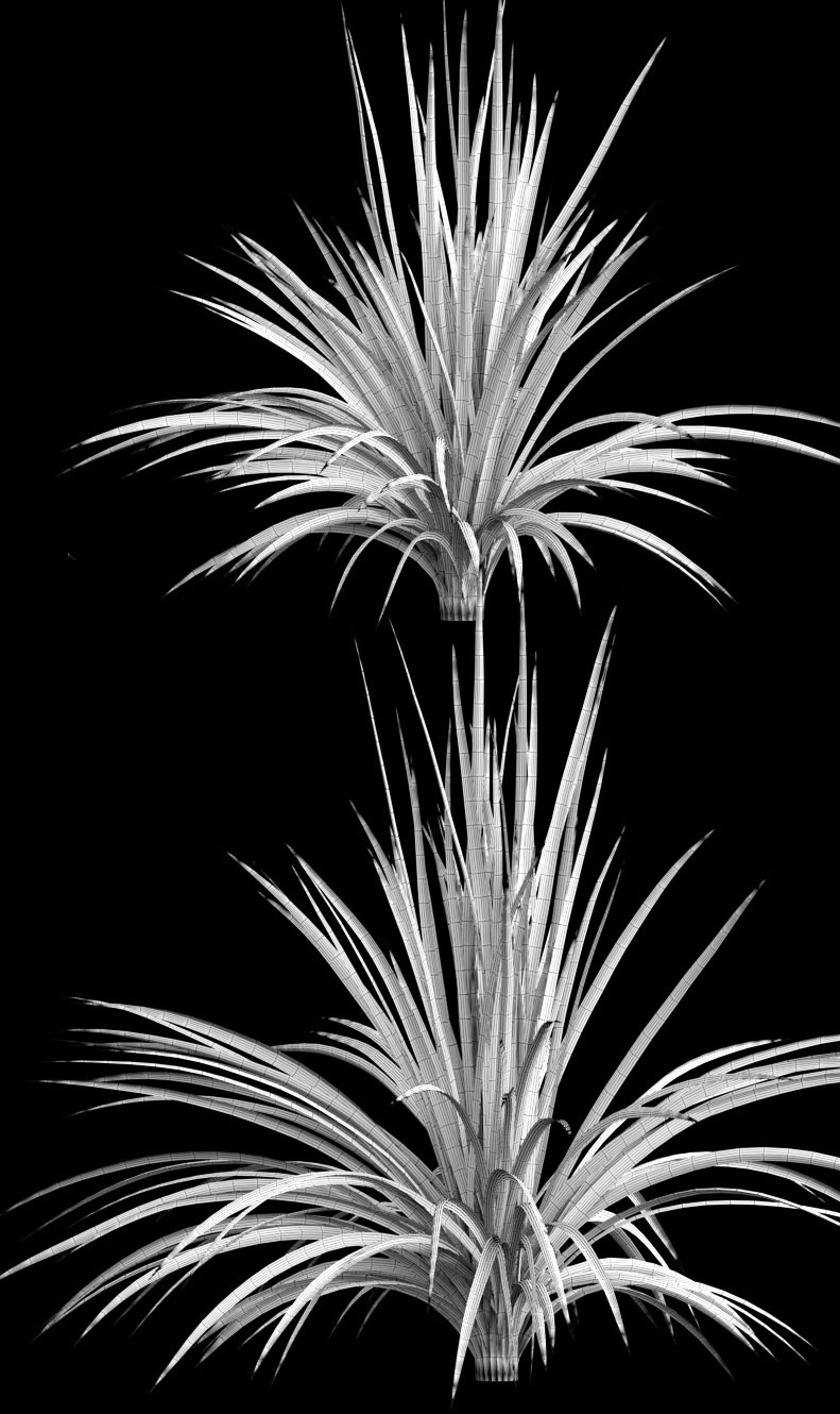 yucca plant exterior 3d model