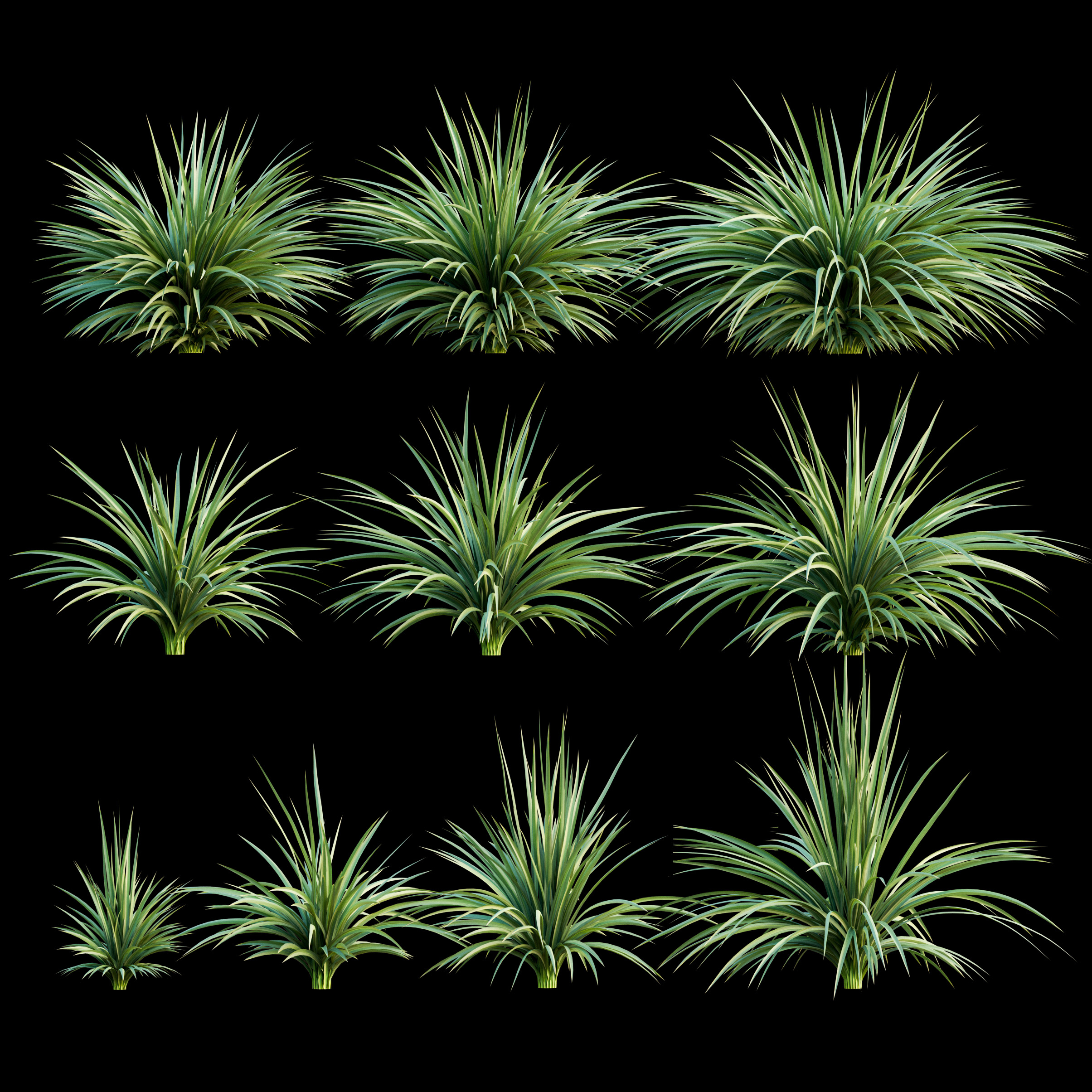 yucca plant exterior 3d model